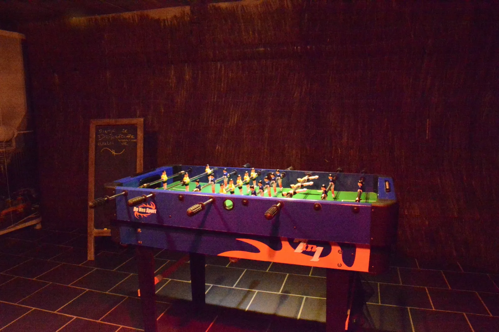 La Brocanteuse-Recreation room