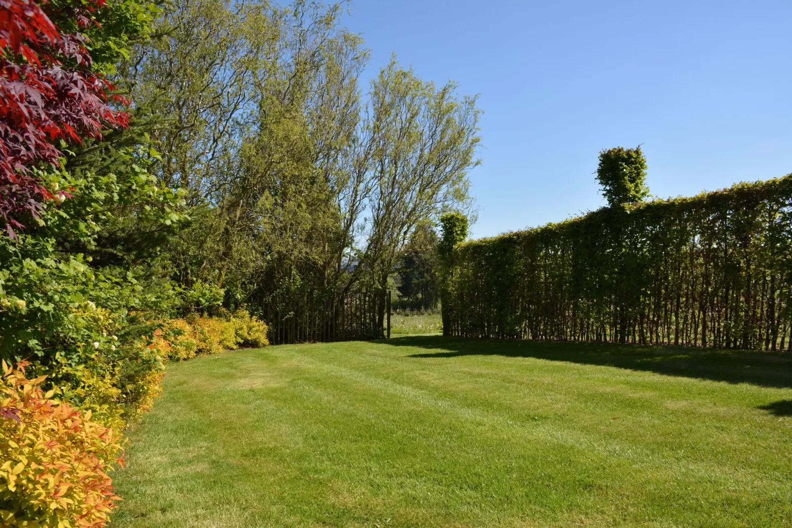 La Brocanteuse-Gardens summer