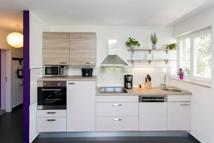 Apartment Lapad Bay- Luxury Two-Bedroom Apartment with Balcony(Black-Ivanišević)-Kitchen