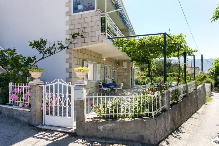 Apartments Olive - One Bedroom Apartment with Terrace and Partial Sea View - Popolica 50-Outdoor