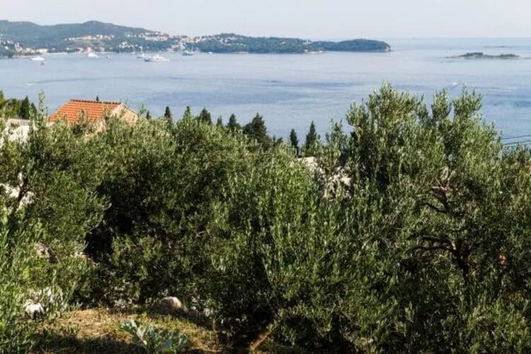 Apartments Olive - One Bedroom Apartment with Terrace and Partial Sea View - Popolica 50-View