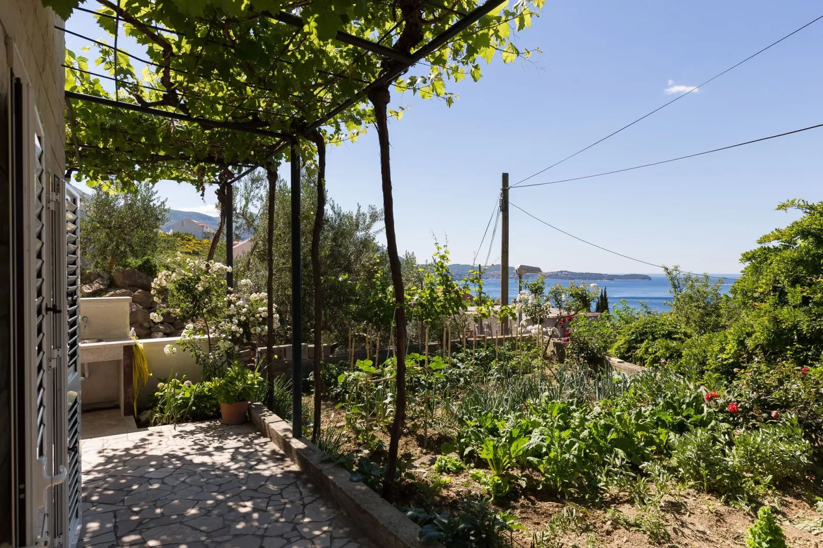 Apartments Olive - One Bedroom Apartment with Terrace and Partial Sea View - Popolica 50-Terrace