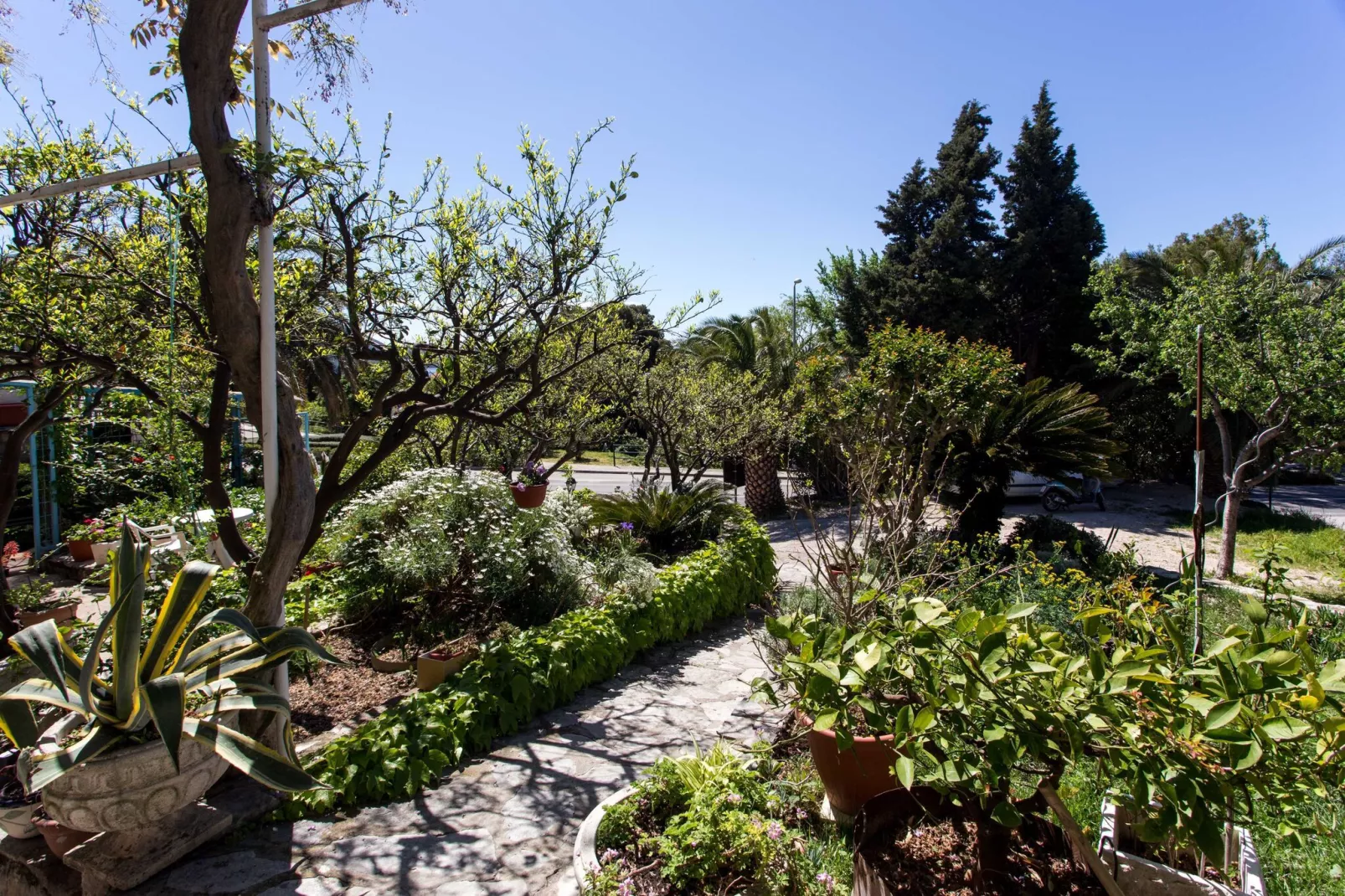 Apartments Djurkovic - One-Bedroom Apartment with Shared Terrace and Sea View-Gärten Sommer