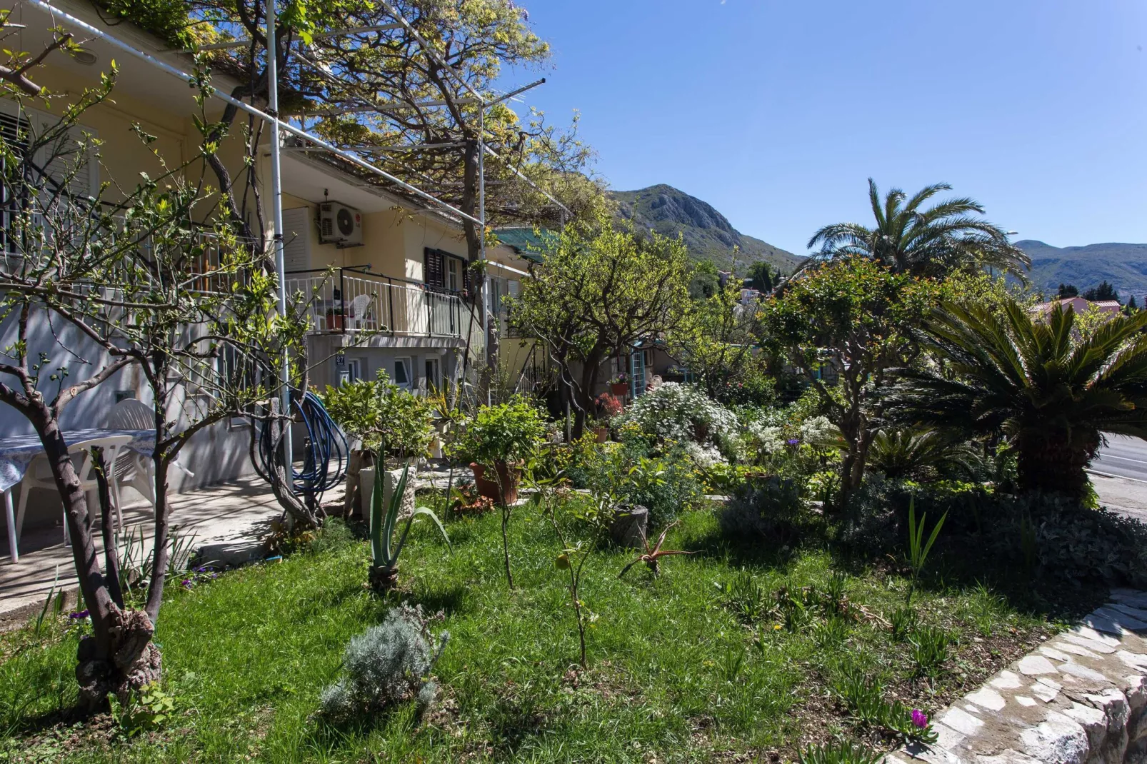 Apartments Djurkovic - Two-Bedroom Apartment with Shared Terrace and Sea View-Gardens summer