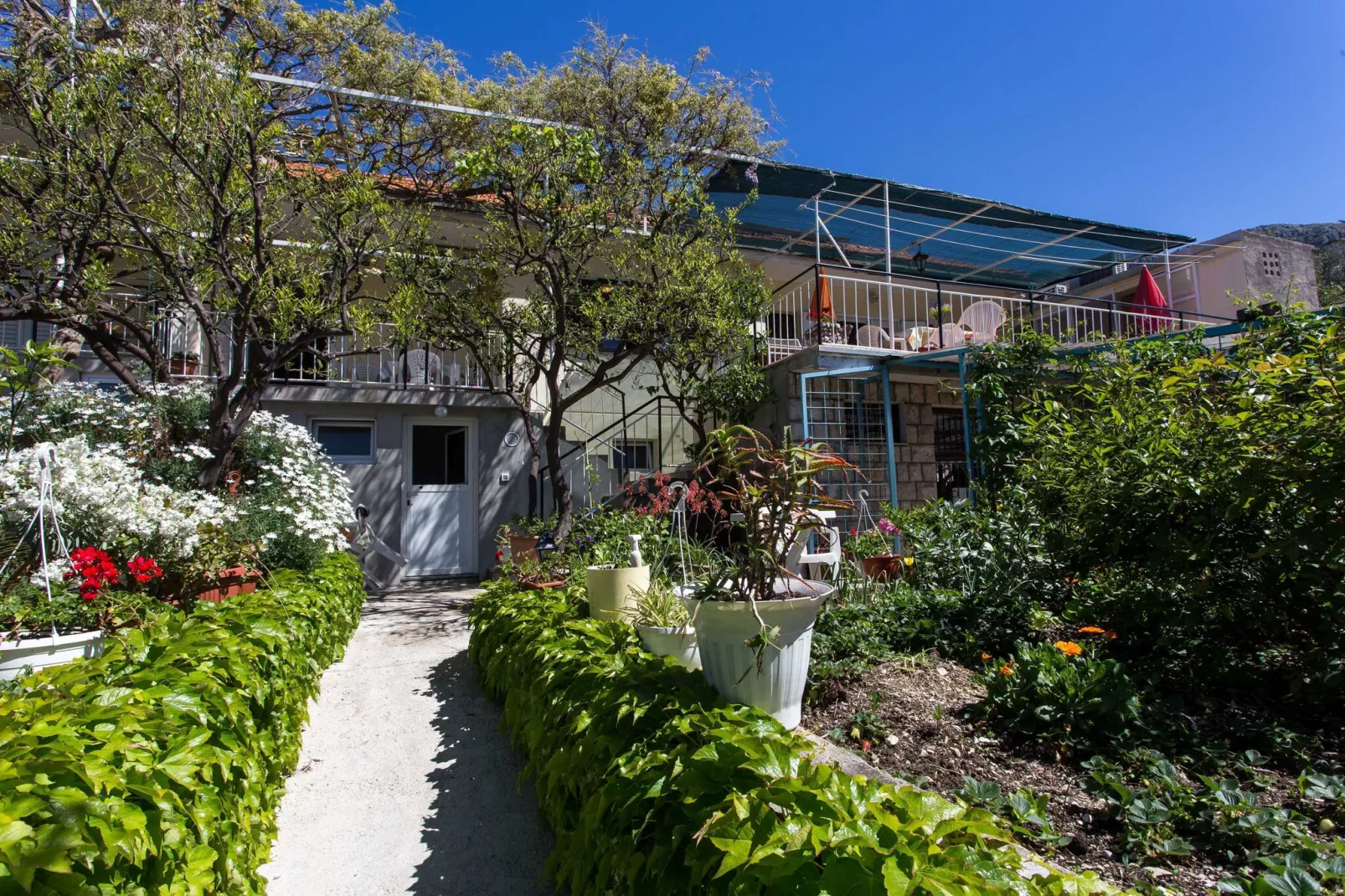Apartments Djurkovic - Two-Bedroom Apartment with Shared Terrace and Sea View-Gardens summer