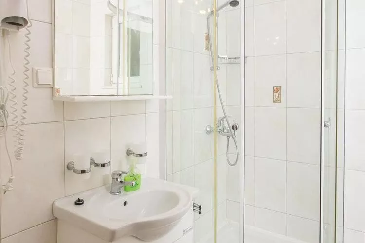 Apartments Miljan Popovic - Studio Apartment with Terrace-Bathroom