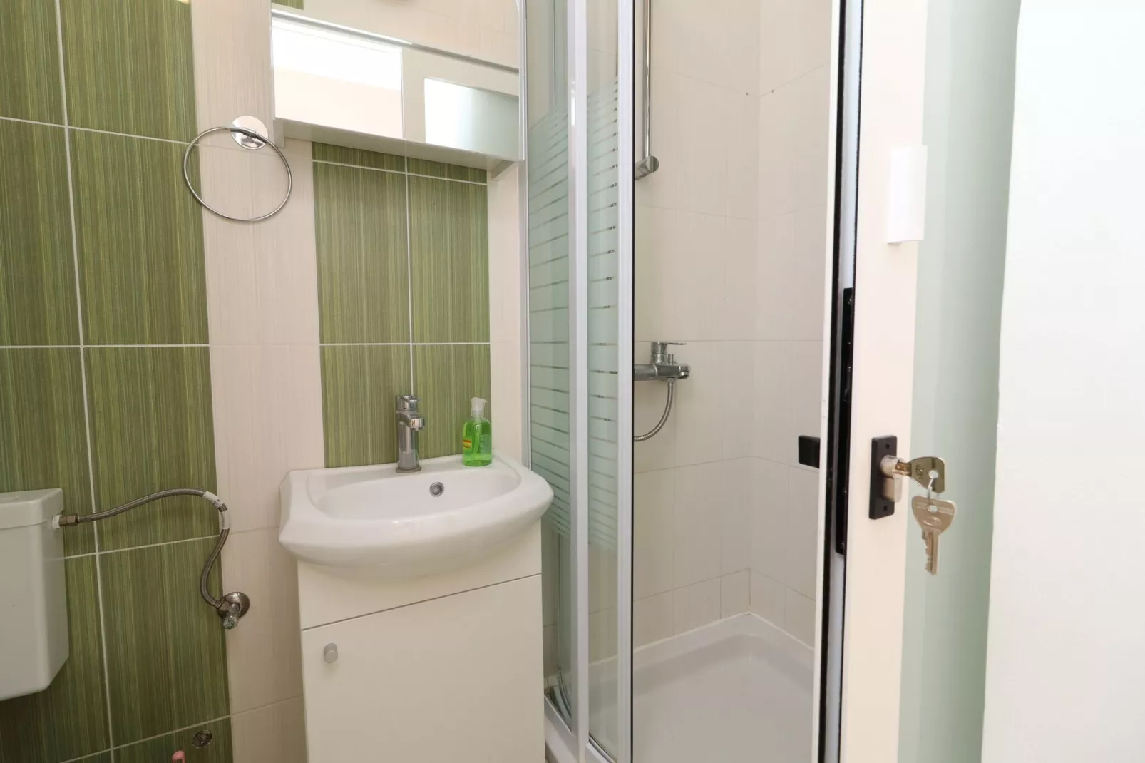 Apartments Sergej-Standard Studio apartment with Terrace and Sea View ( Nataša )-Bathroom