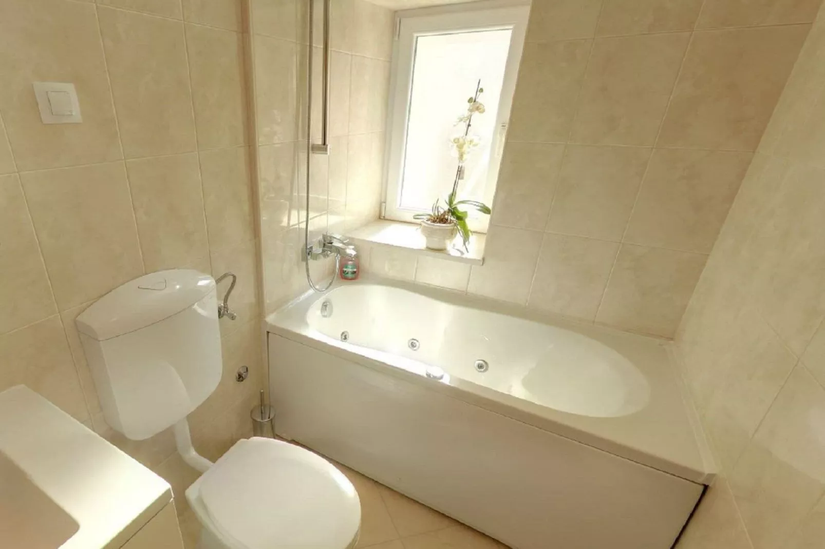 Apartment Mihe - Two-Bedroom Apartment with Balcony and Sea View-Salle de bain