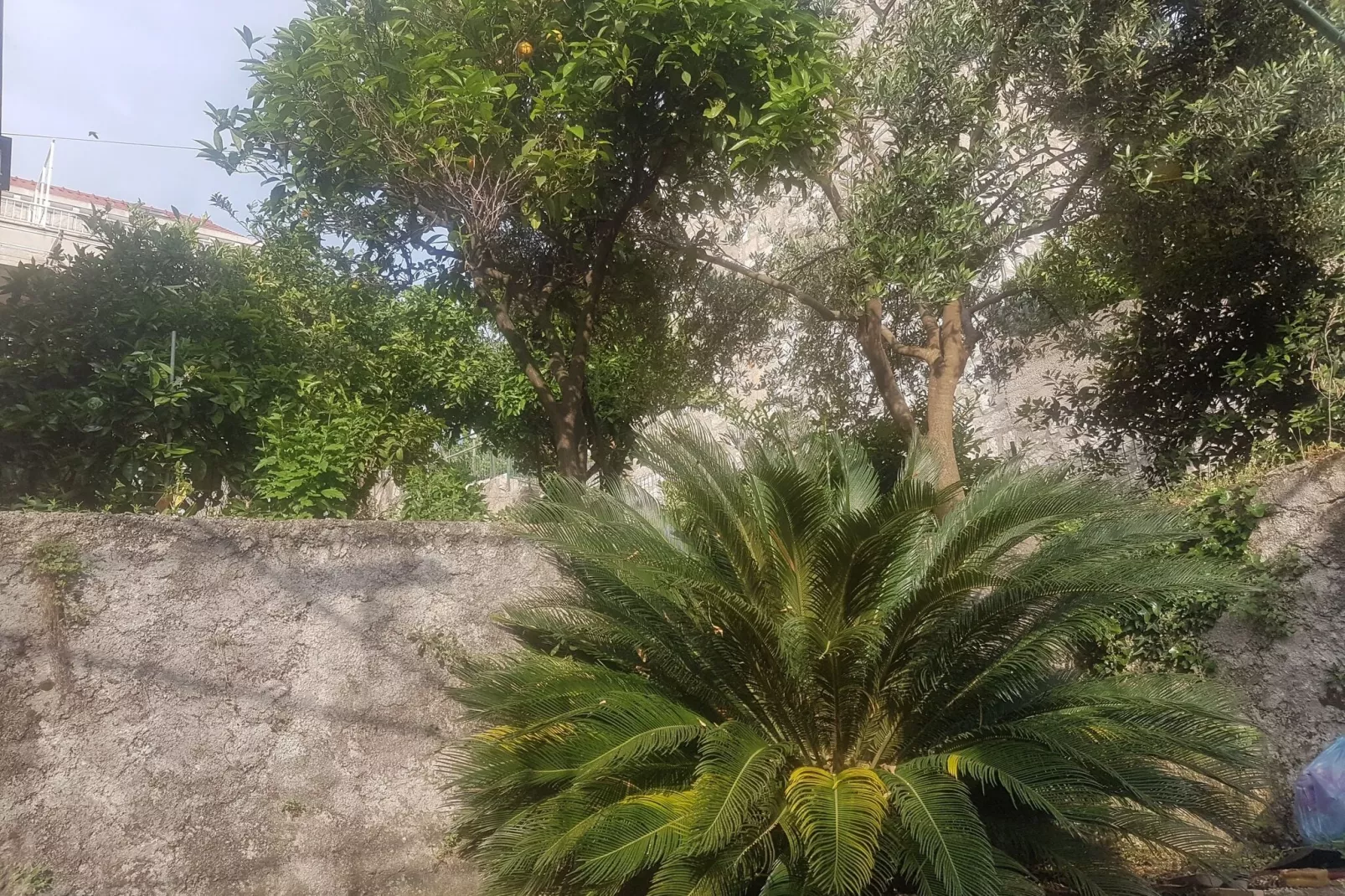 Apartment Saul Cavtat  - One Bedroom Apartment with Terrace and Sea View-Outdoor
