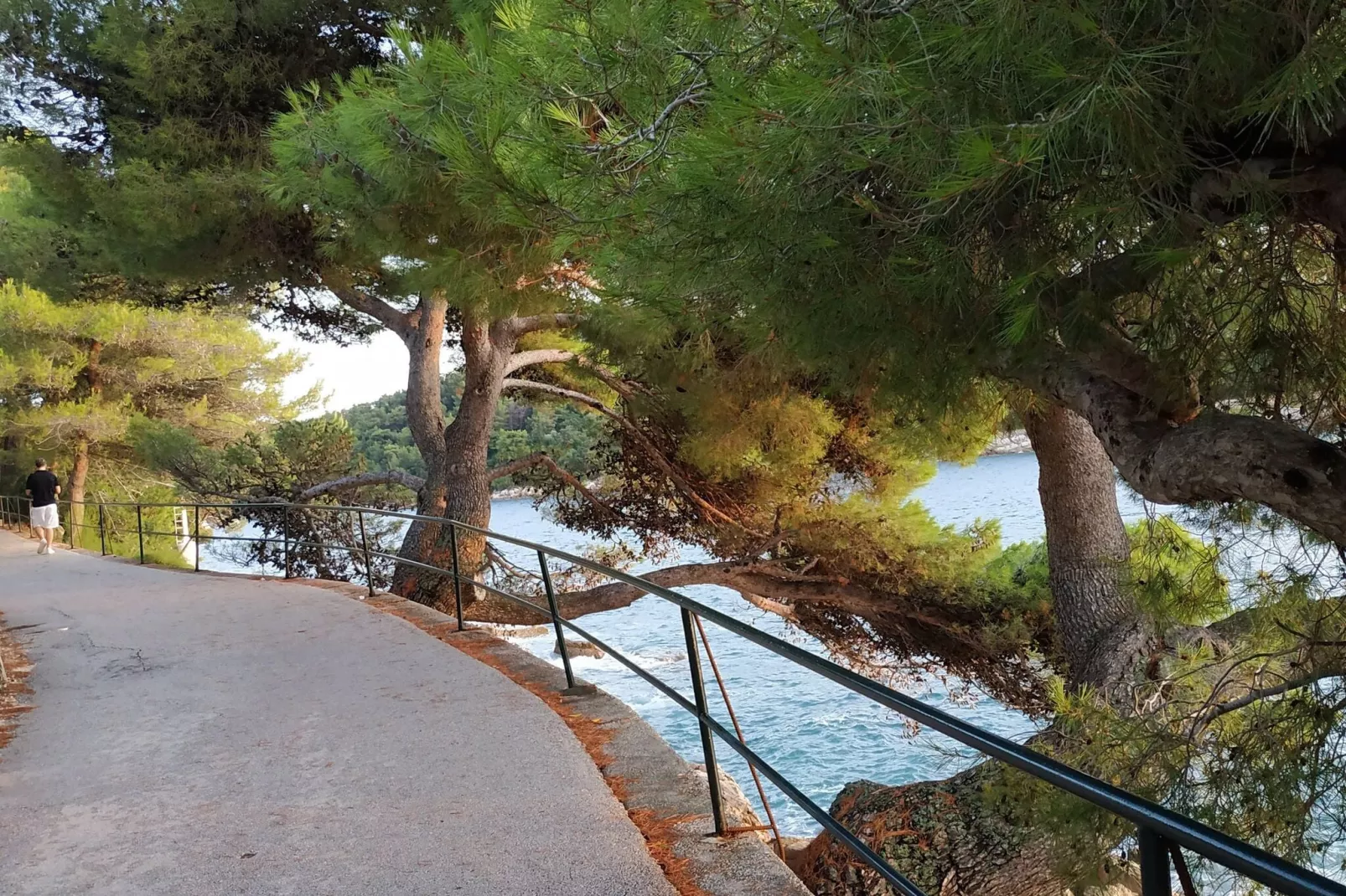 Apartment Saul Cavtat  - One Bedroom Apartment with Terrace and Sea View-View