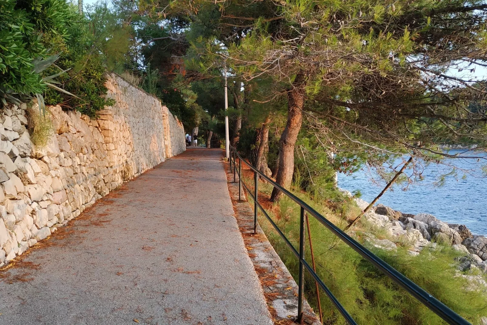 Apartment Saul Cavtat  - One Bedroom Apartment with Terrace and Sea View-View