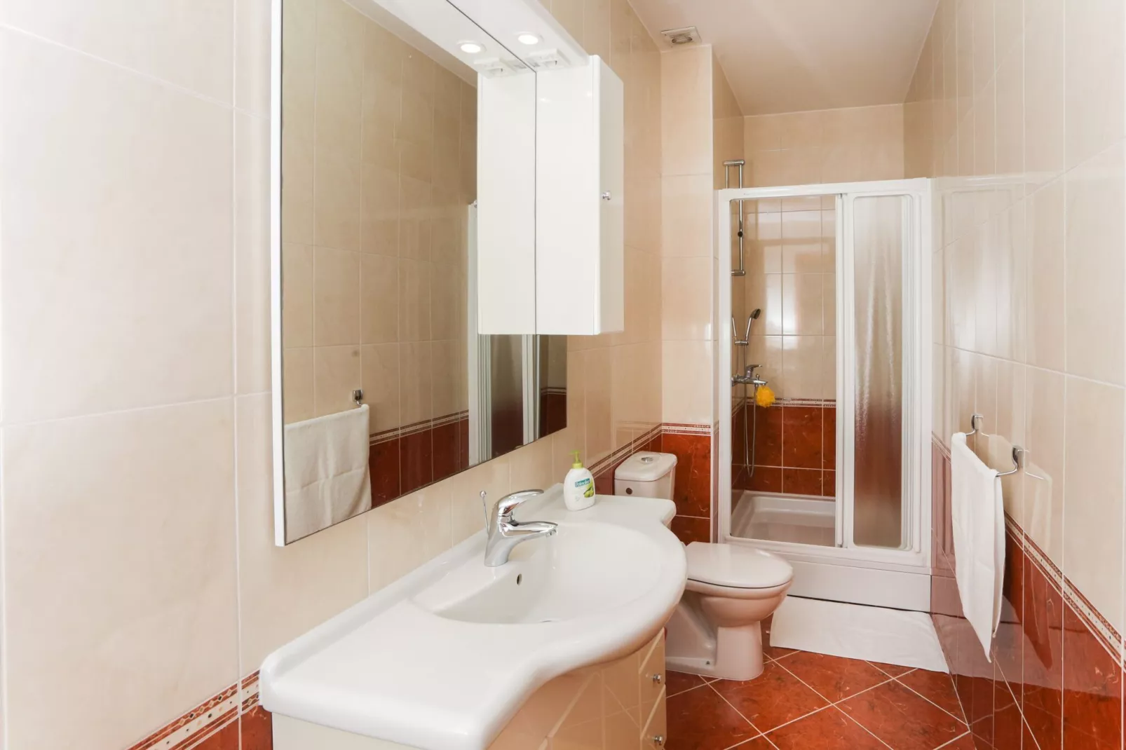 Apartments Villa Harmonia - One-Bedroom Apartment with Patio and Shared Pool-Bathroom