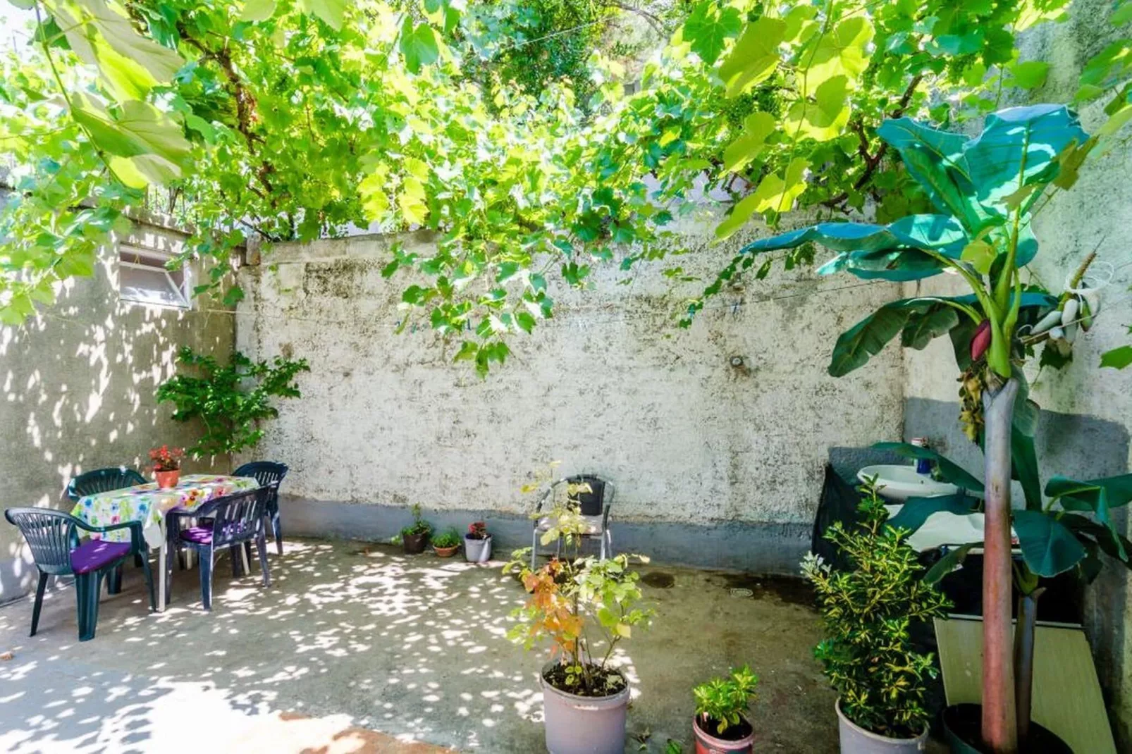 Guest House Mara - Double Room 1-Terrace