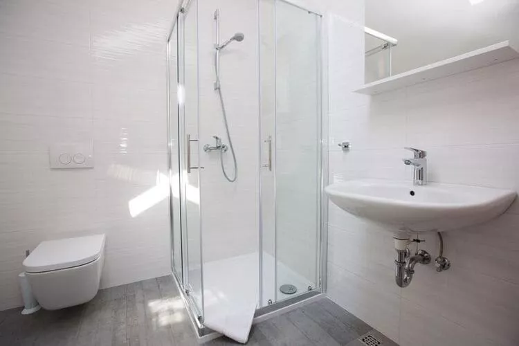 Apartments Nina - One-Bedroom Apartment (Orašac)-Bathroom