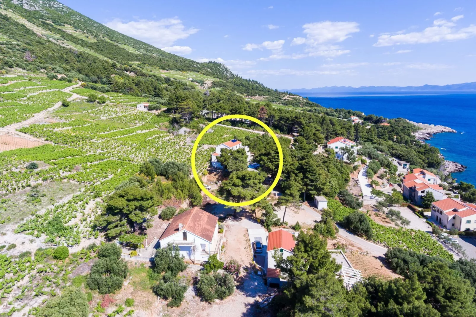 Apartments Villa Dingač-Borak - Two Bedroom Apartment with Terrace No. 1-Extérieur