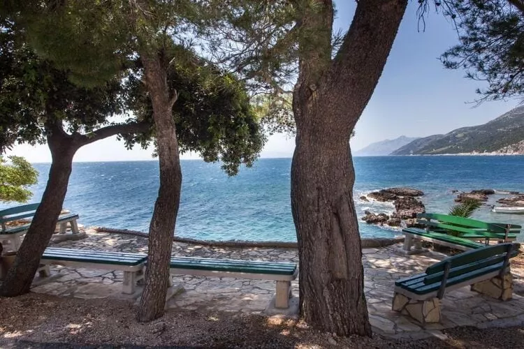 Apartments Villa Dingač-Borak - Standard Two Bedroom Apartment with Balcony No. 5-Ambiance