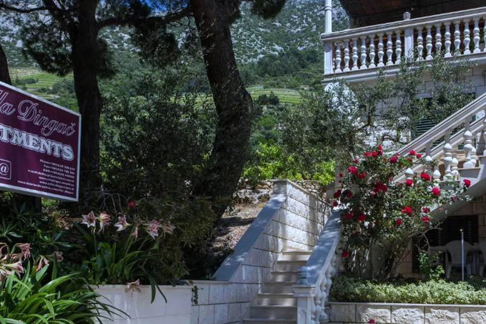 Apartments Villa Dingač-Borak - One Bedroom Apartment with Balcony and Sea View No. 2-Outdoor