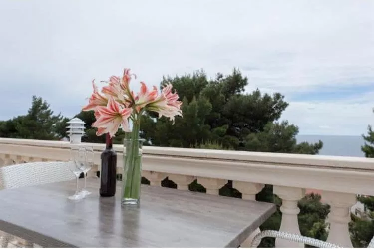 Apartments Villa Dingač - Borak - Two Bedroom Apartment with Balcony and Sea View (Silver)-Terrasse / balcon