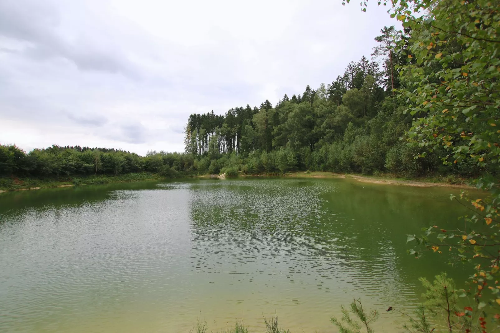 Le Taimont-Areas summer 5km