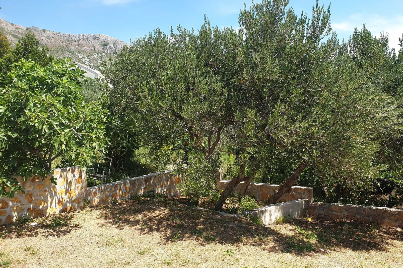 Villa Avoca - Four Bedroom Villa with Swimming Pool-View
