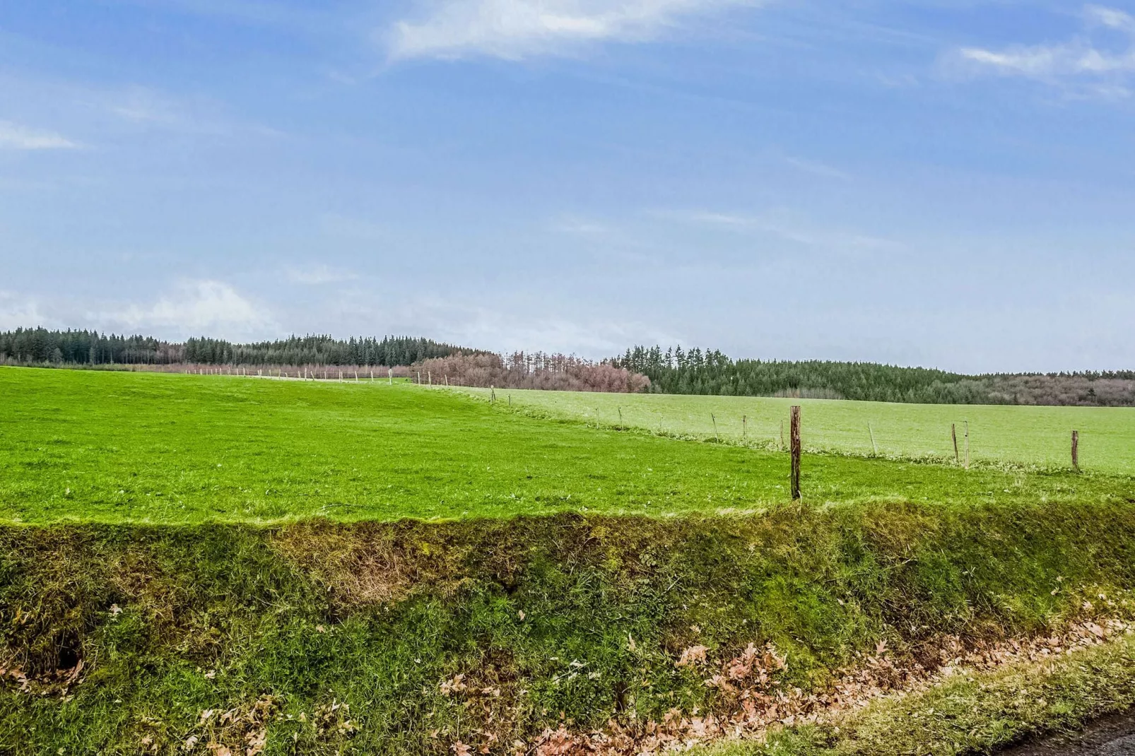 Grusone 53-Areas summer 1km