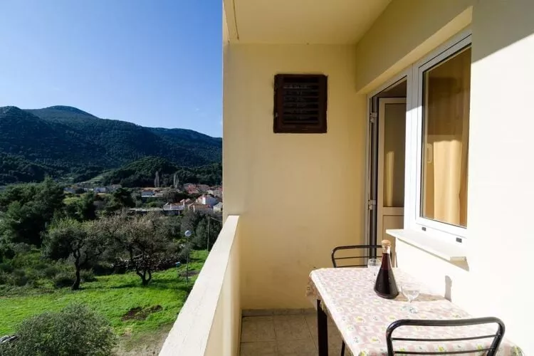 Apartments Dalmatin Žuljana - Studio Apartment 1-Terrace balcony