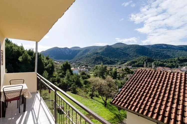 Apartments Dalmatin Žuljana - Studio Apartment 3-Terrace balcony