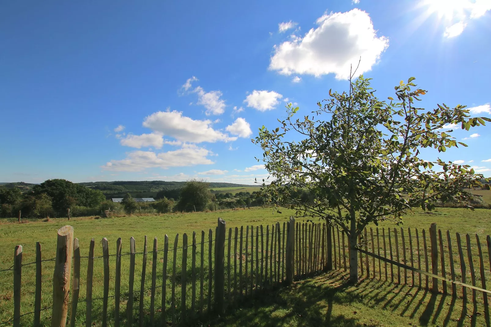 Li Vêrt Veschau-View summer