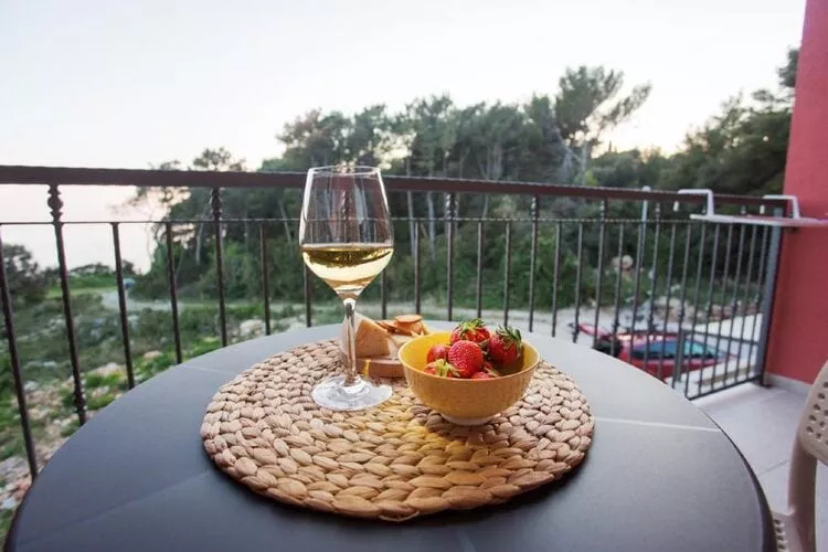 Apartments Villa Lukas - ''No.2'' Studio Apartment with Balcony and Sea View-Terrace balcony