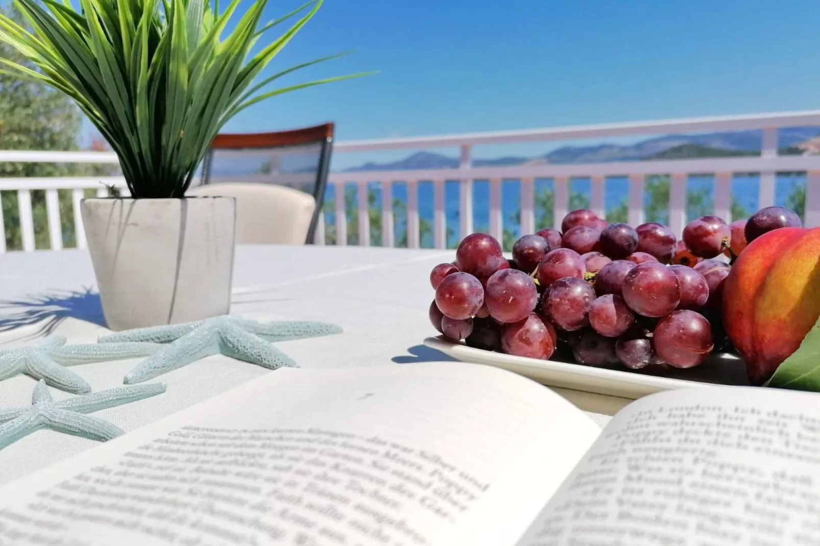 Holiday Home Blue Dream - Two Bedroom Apartment with Terrace and Sea View (A1)-Terrasse