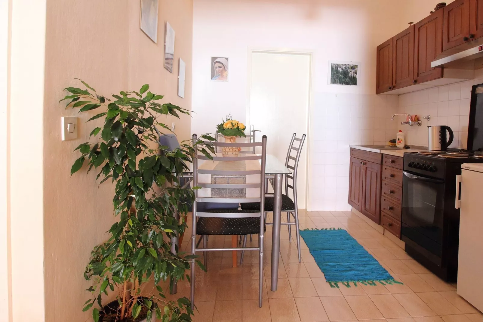 Apartments Magda- Comfort Studio Apartment with Patio and Garden View (Apartman 1)-Kitchen