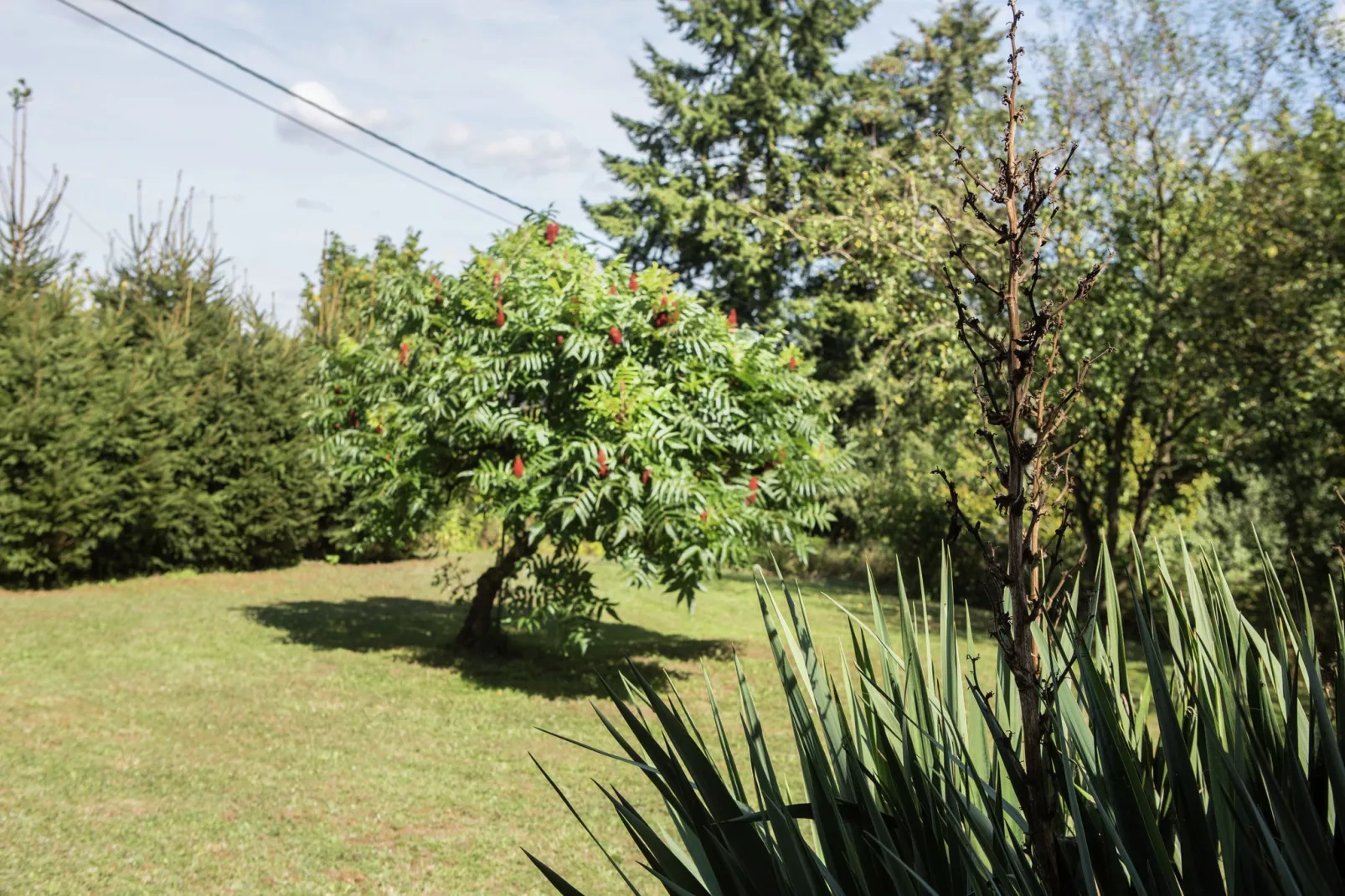 Villa Agni 25-Jardin d'été