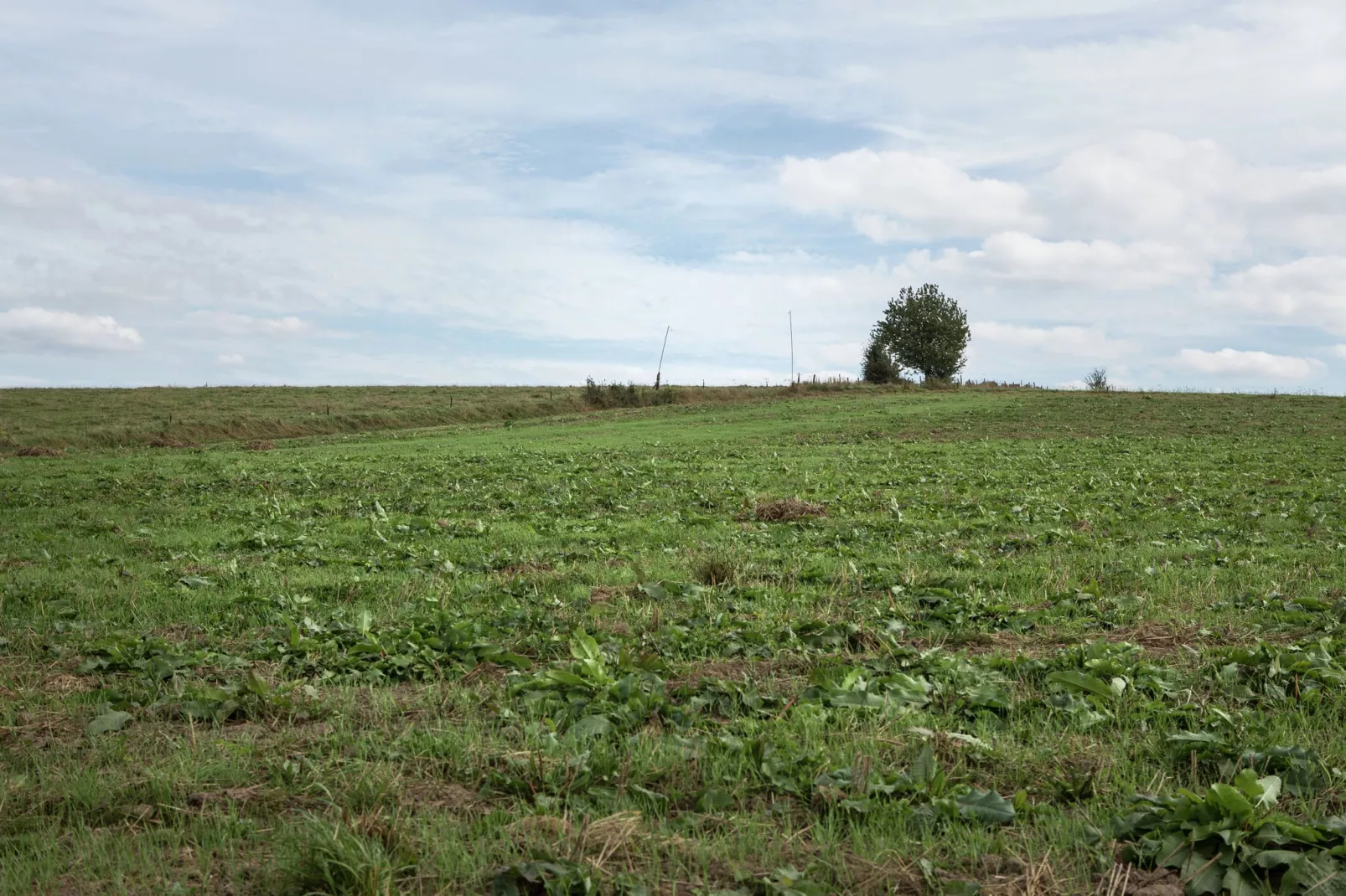 Villa Agni 25-Zones d'été à 20 km