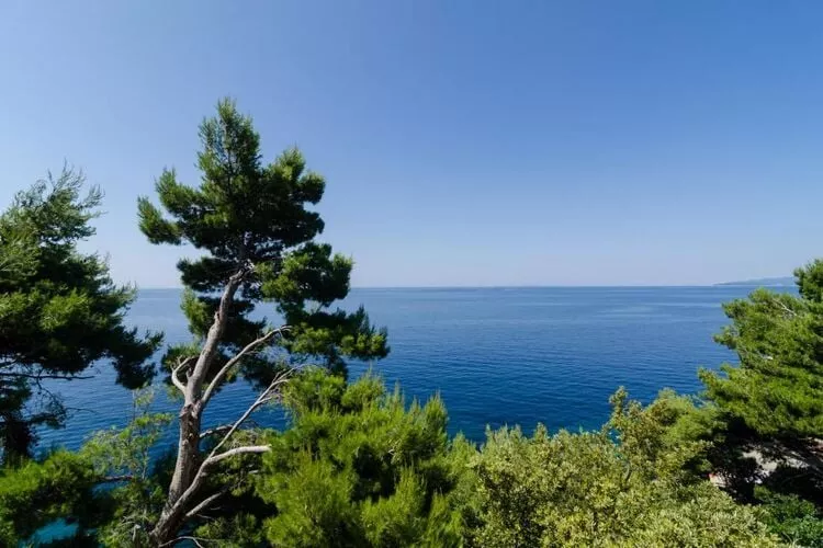 Apartments Plavac Mali- Two Bedroom Apartment with Balcony and Sea View-View