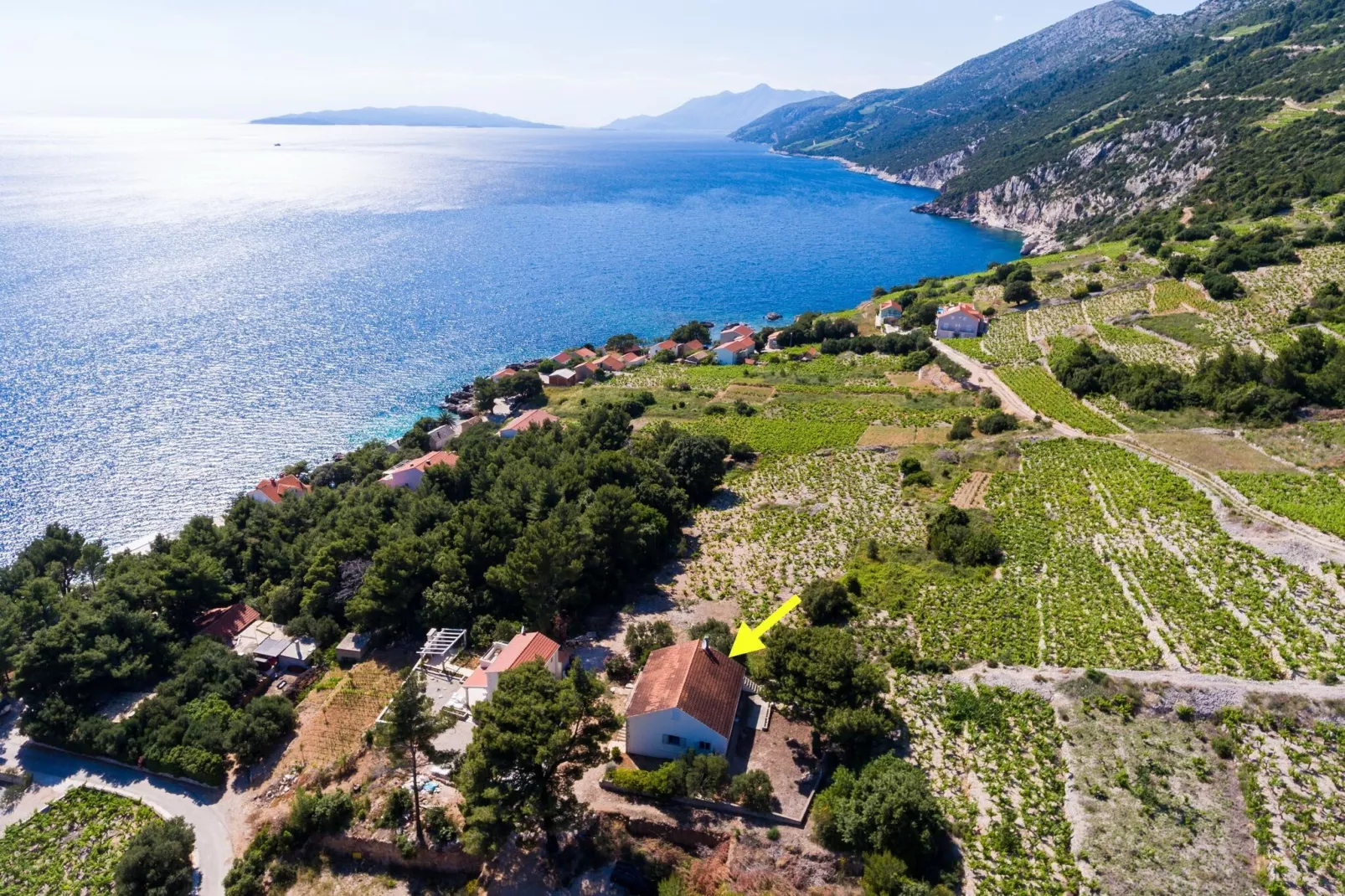 Holiday Home Blue Vineyard- Three Bedroom House with Terrace and Sea View-Aussicht