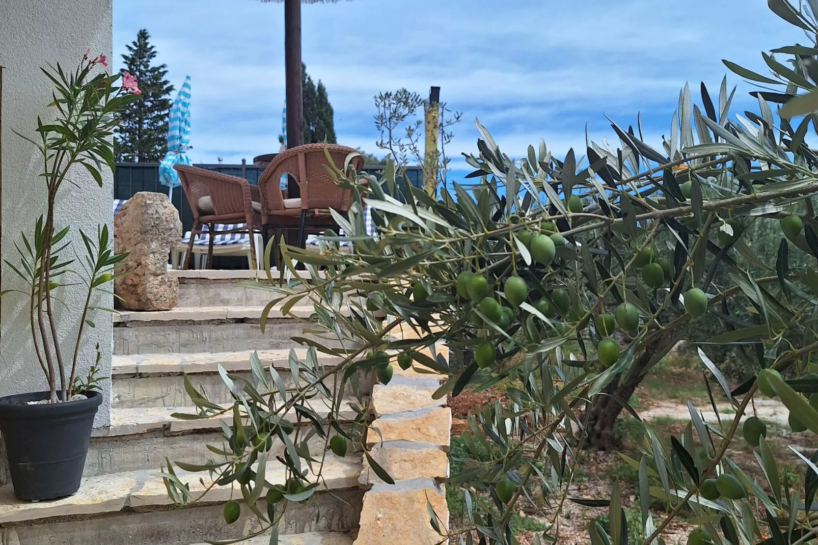 Villa Dore- Holiday House With Swimming Pool (ST)-Outdoor