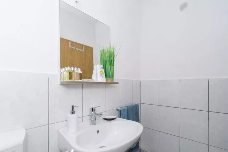 Apartments Ammos - One Bedroom Apartment with Shared Terrace and Sea View (Mali)-Bathroom