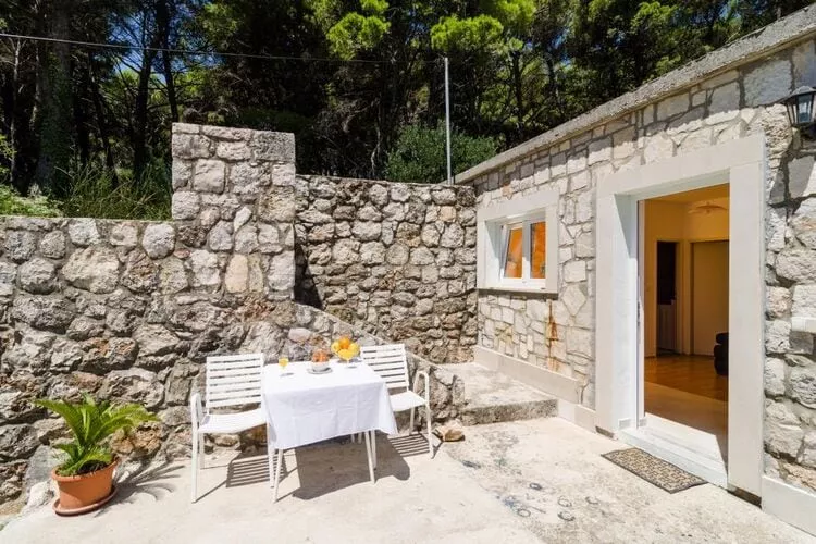 Apartments & Rooms Tapera- Comfort One-Bedroom Apartment with Terrace and Garden View ( NARANČASTI 1 )-Outdoor