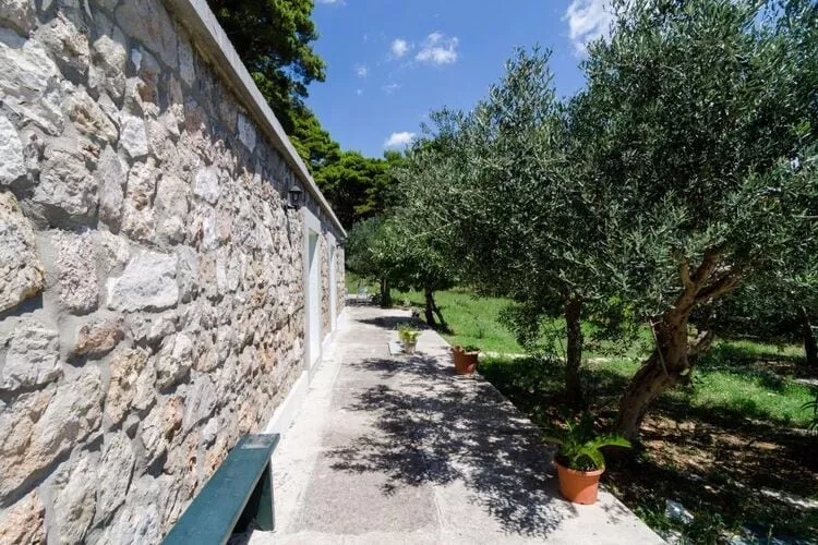 Apartments & Rooms Tapera- Comfort One-Bedroom Apartment with Terrace and Garden View ( NARANČASTI 1 )-Outdoor