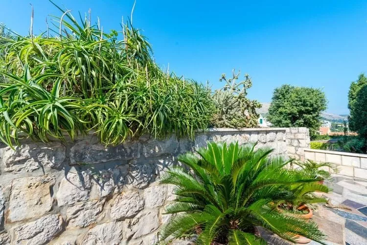 Apartments & Rooms Tapera- Comfort Double Room with Terrace and Partial Sea View 2-Outdoor