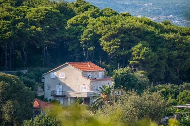 Apartments & Rooms Tapera- Comfort Double Room with Terrace and Partial Sea View 2-View