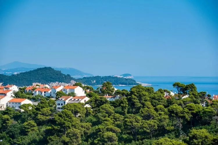 Apartments & Rooms Tapera- Comfort Double Room with Terrace and Partial Sea View 2-View