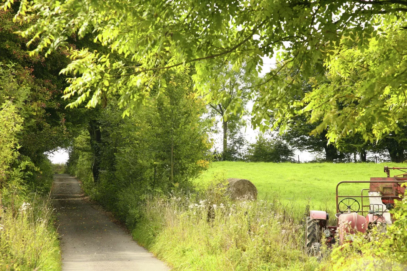 Chalet d'aventures-Areas summer 20km