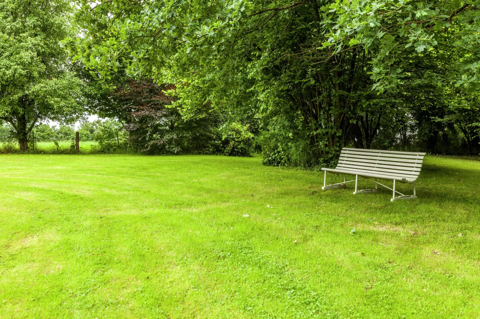Domaine De L'Ecureuil 2-Jardin d'été