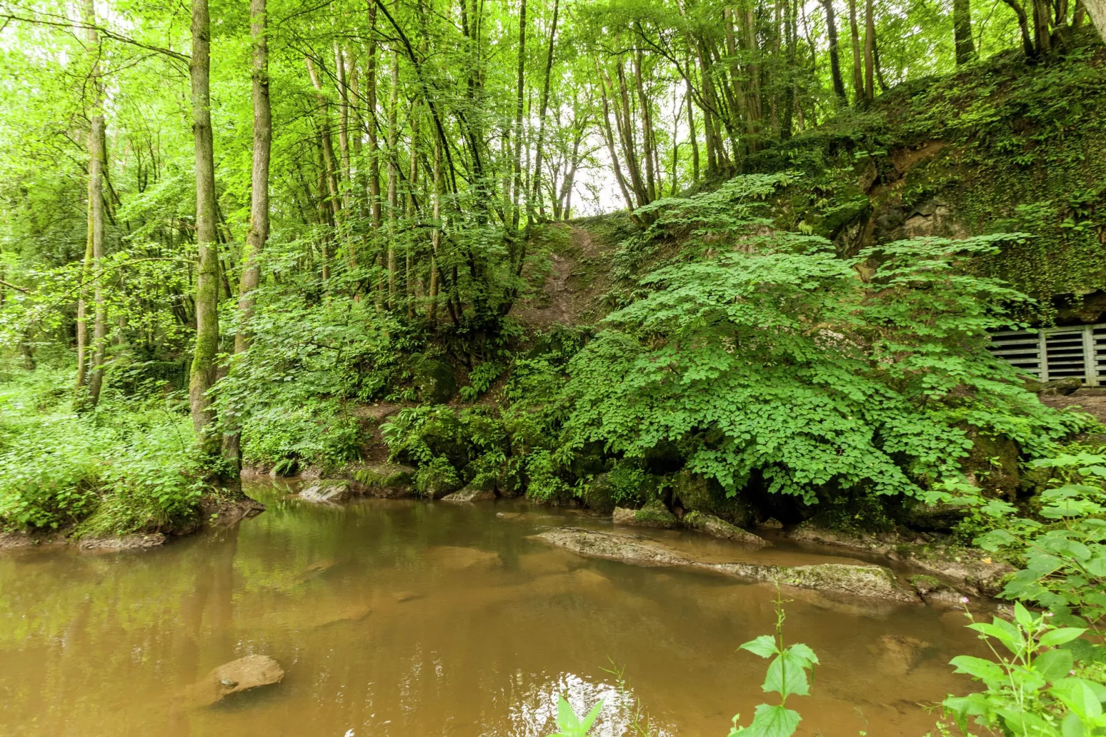 Domaine De L'Ecureuil 2-Zones d'été à 1 km
