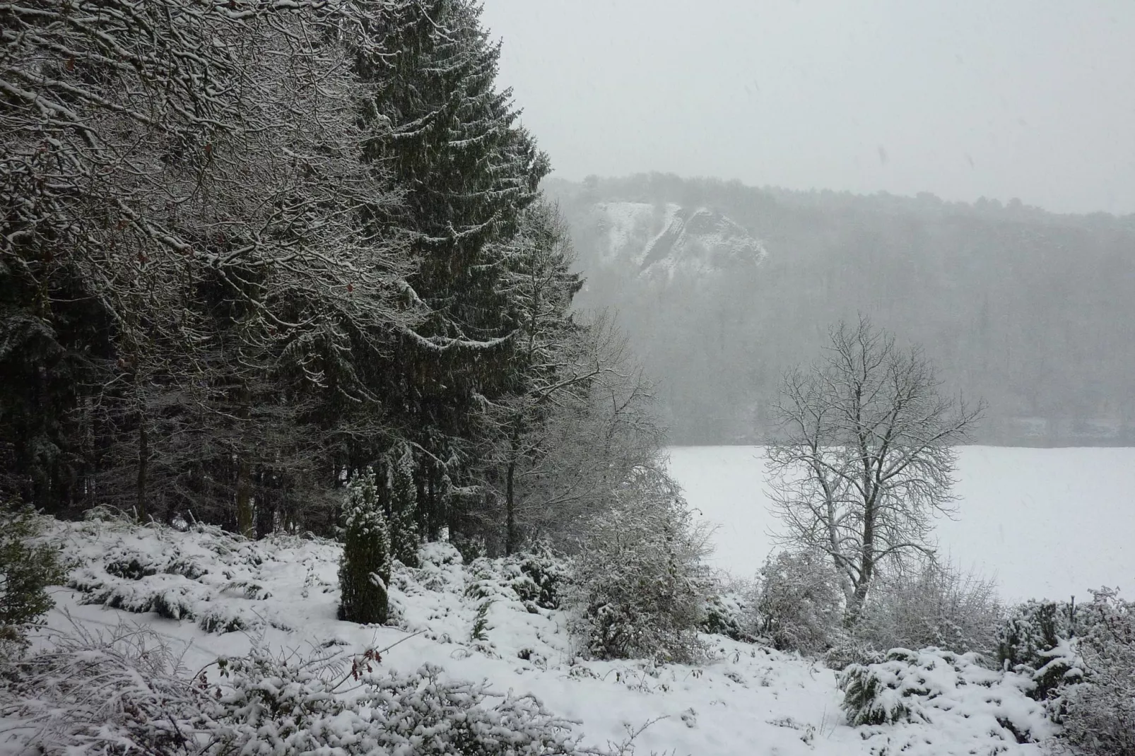 Domaine De L'Ecureuil 3-Garden winter