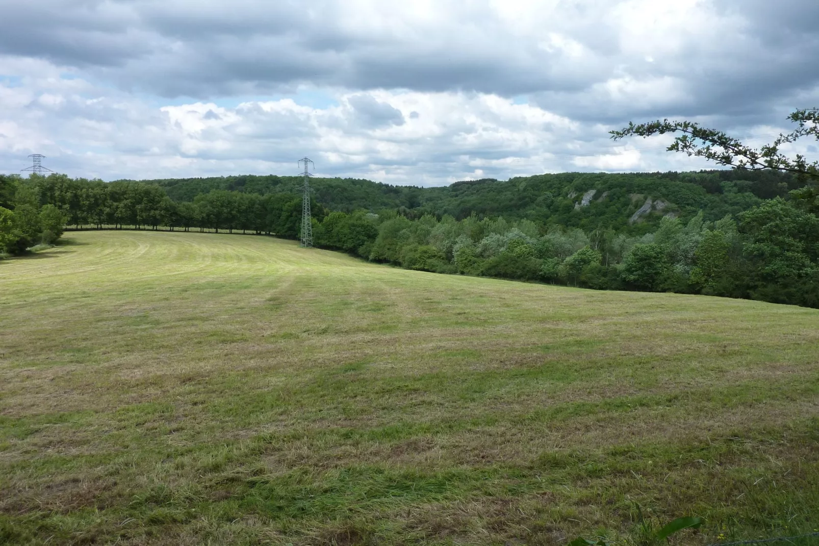 Domaine De L'Ecureuil 3-View summer