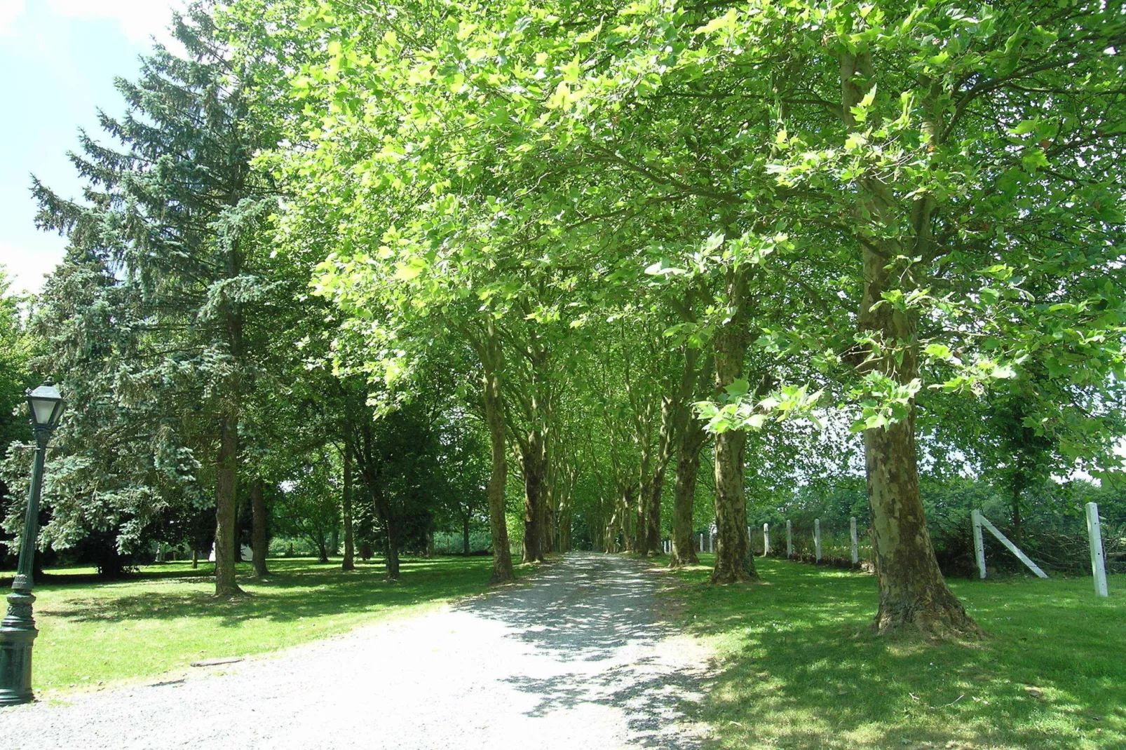 Domaine De L'Ecureuil 3-Areas summer 1km