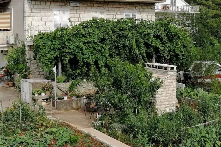 Apartments Marita - One Bedroom Apartment-Jardin d'été