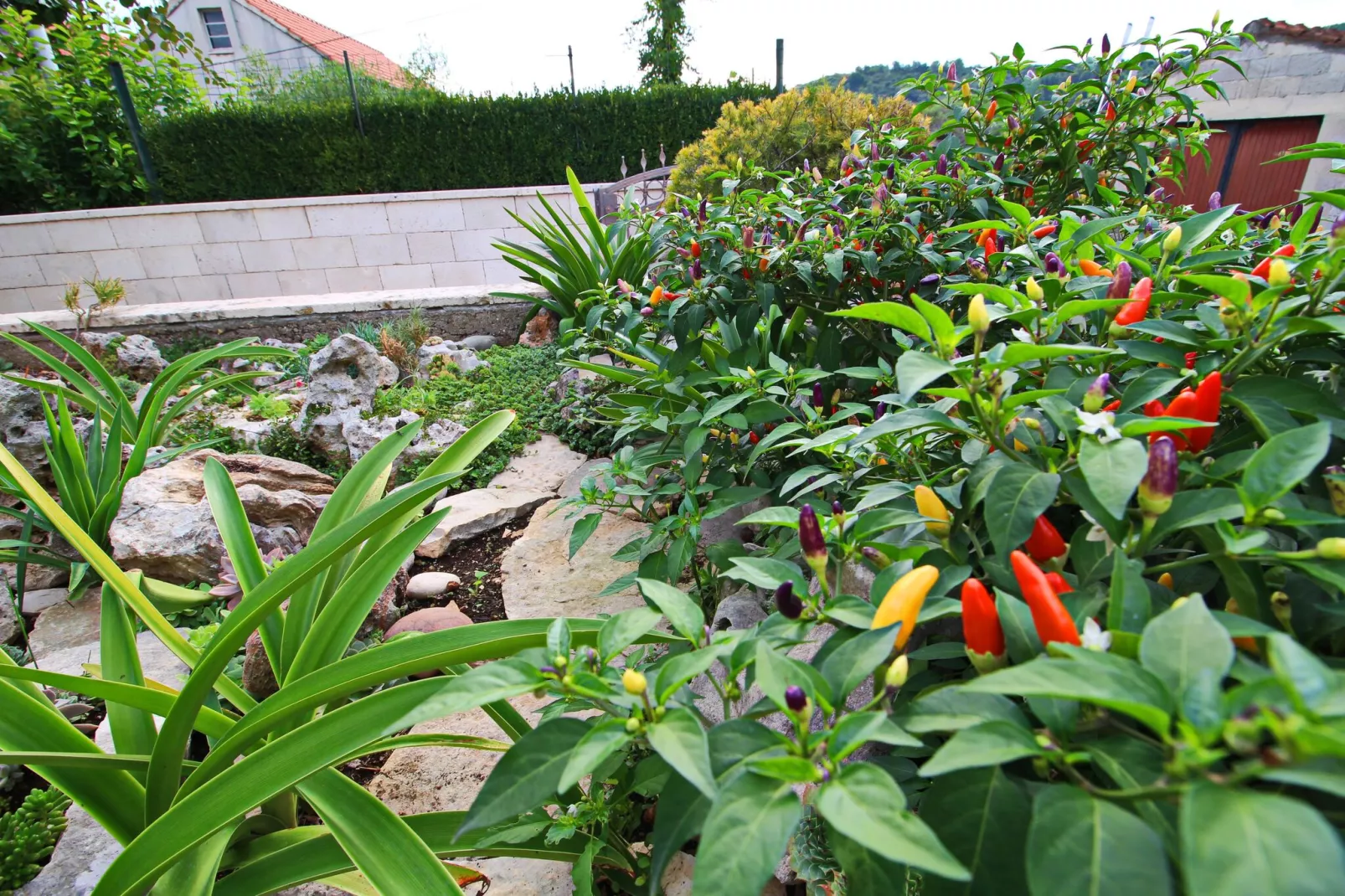 Green Garden House - Four Bedroom House with Private Pool-Jardin d'été